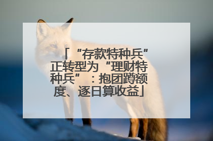 “存款特种兵”正转型为“理财特种兵”：抱团蹲额度、逐日算收益